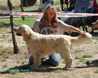 of Chelsea Garden - Expo de Trets Pays d'Aix du 17 juin 2012