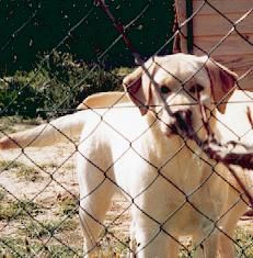 Private party of Chelsea Garden