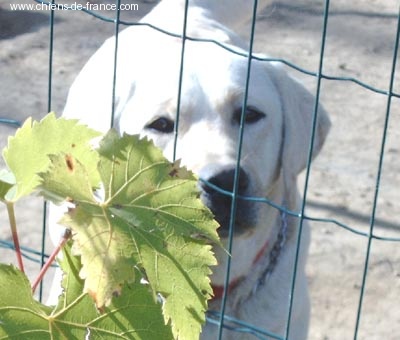 Twist and rhythm of Chelsea Garden
