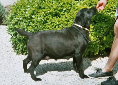 T'anne-charlotte-tascha of Chelsea Garden