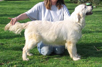 Alysson of Chelsea Garden