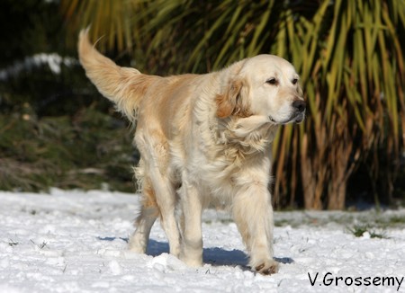 Undaye of Chelsea Garden