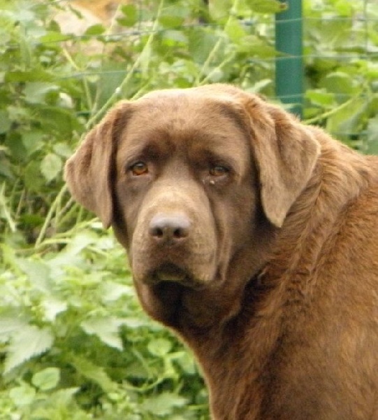 Fly girl of Chelsea Garden
